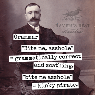 Grammar: "Bite Me, Asshole"... Coaster